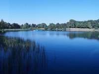 Das Waldschwimmbad sorgt für Erfrischung an heißen Tagen.