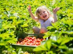 Mädchen freut sich über Erdbeeren