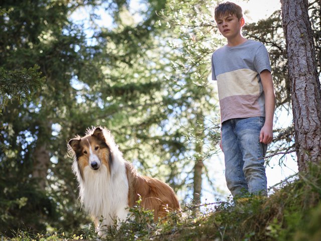 Lassie – Ein neues Abenteuer