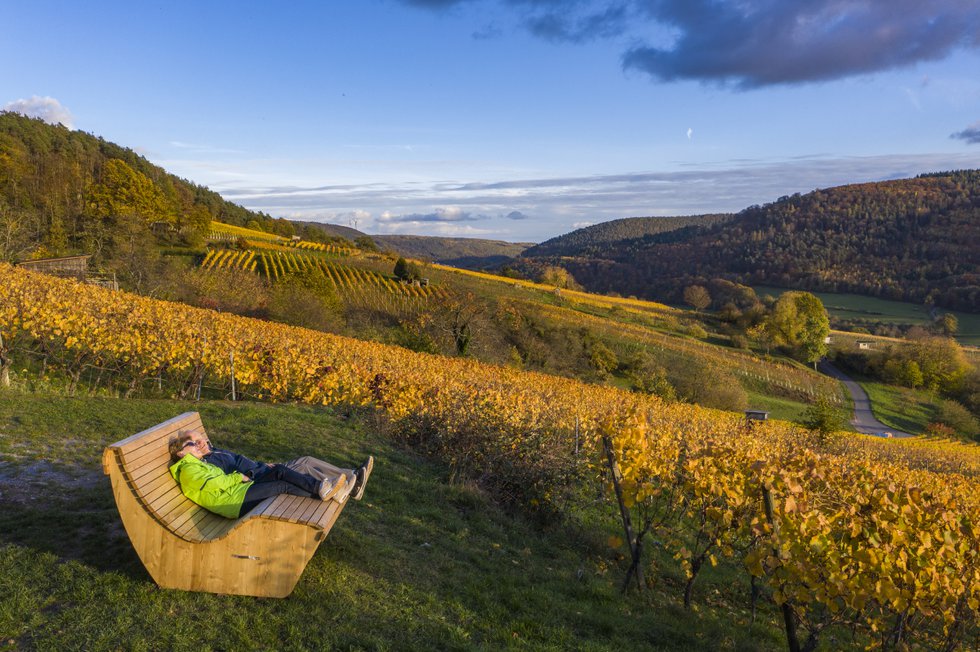 Drei am Main, Wandern durch die Weinberge Bürgstadt