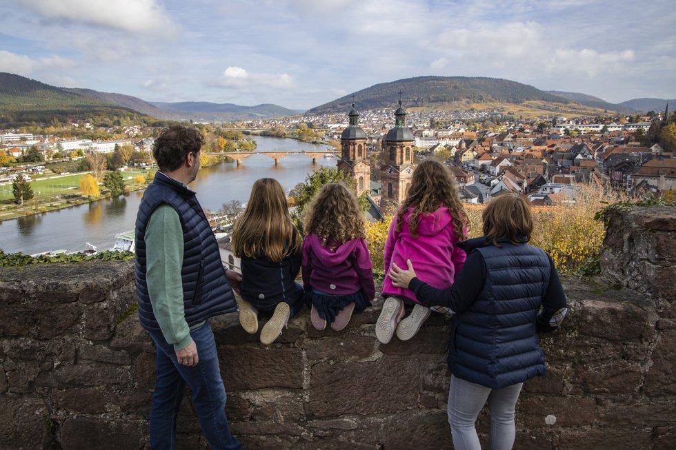 Drei am Main, Aussicht auf die Mildenburg