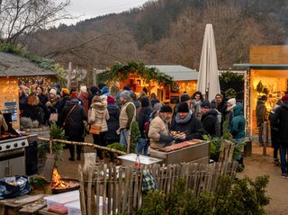 Weihnacht im Park