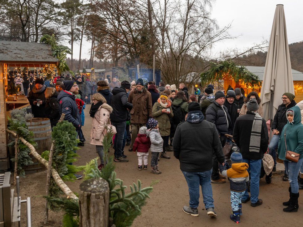 Weihnacht im Park