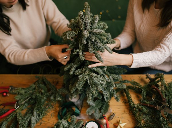 Artikel_Weihnachtsbaum-Varianten_Recycelt_Adobe Stock.jpg