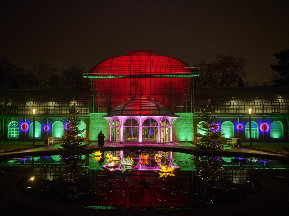 Winterlichter, Palmengarten Frankfurt am Main